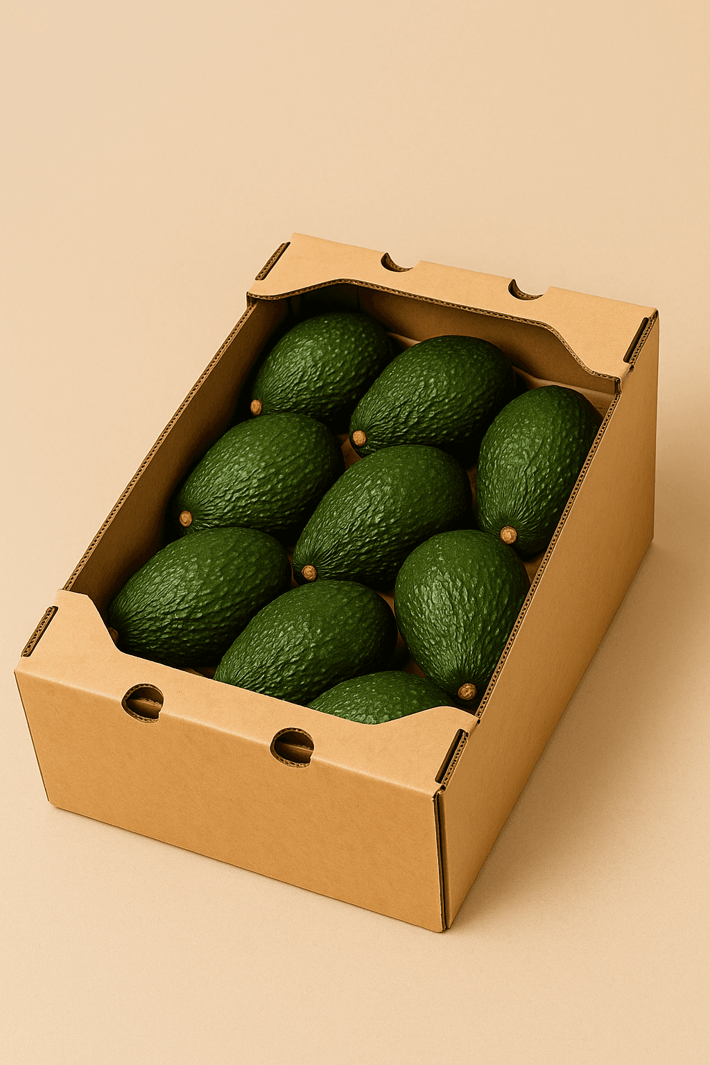 Scatola di cartone piena di avocado verdi freschi disposti ordinatamente su sfondo beige.